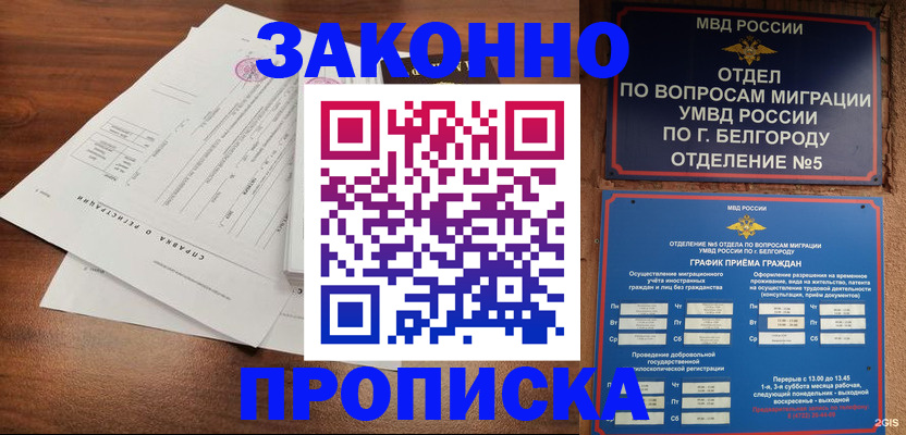 прописка в Североморске